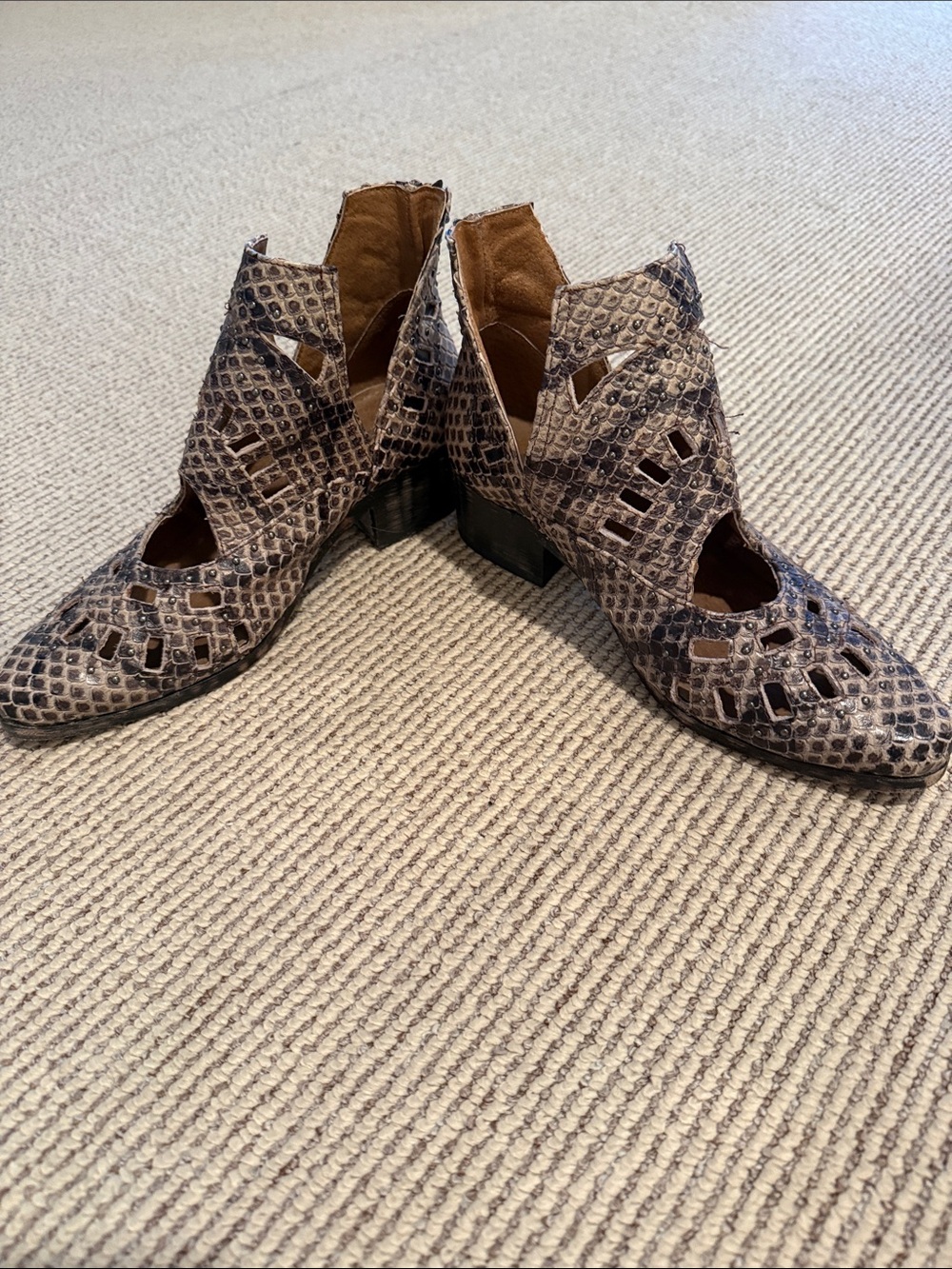 Sbicca Cutout Snake-Print Ankle Booties in Brown, Taupe and Black
